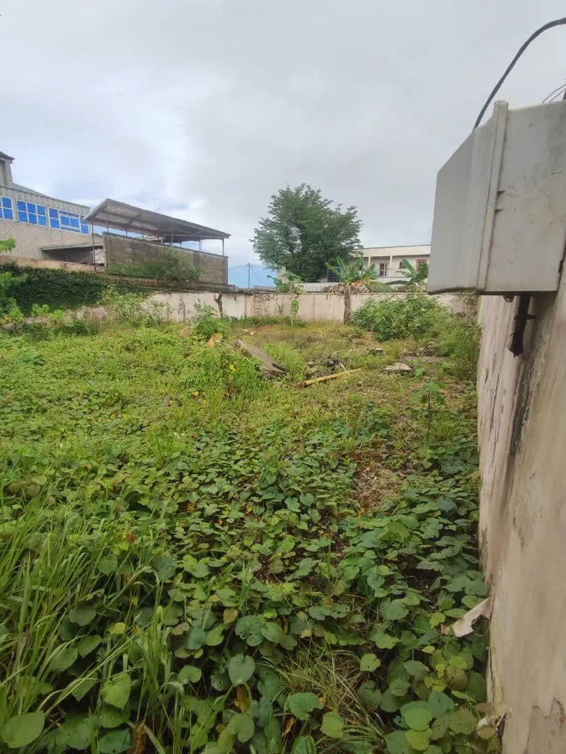 TERRAIN COMMERCIAL A VENDRE DOUALA KOTTO 300M2 BORDURE GOUDRON lea immobilier Cameroun