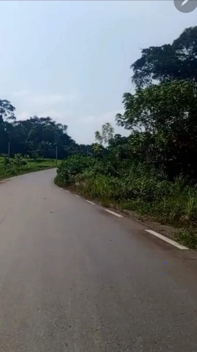 Terrain titré à vendre à kribi à 20 minutes du cette ville superficie 9461m2 lea immobilier Cameroun