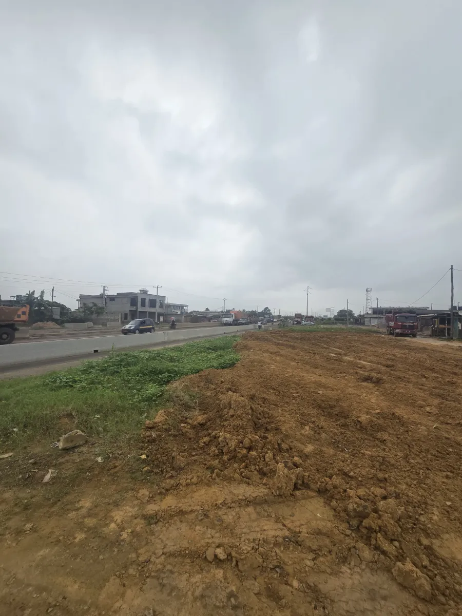 Terrain commercial titré à vendre   yassa avant le pont de la dibamba bordure du goudron en pleine boulevard de la route nationale numéro 3. Superficie 1 hectares 6000m2 lea immobilier Cameroun