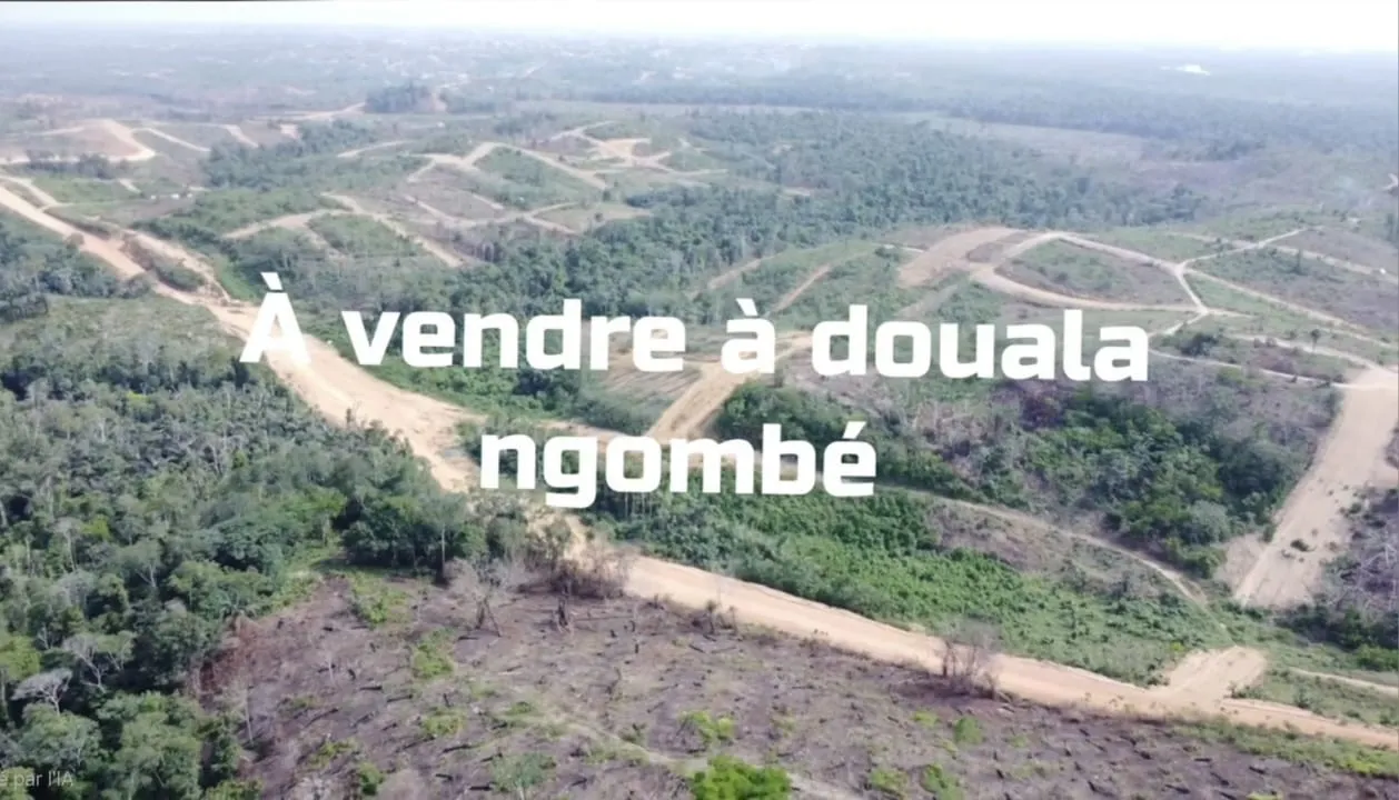 Nouveau lotissement de terrain titre a vendre a douala 5eme quartier ngombe lea immobilier Cameroun