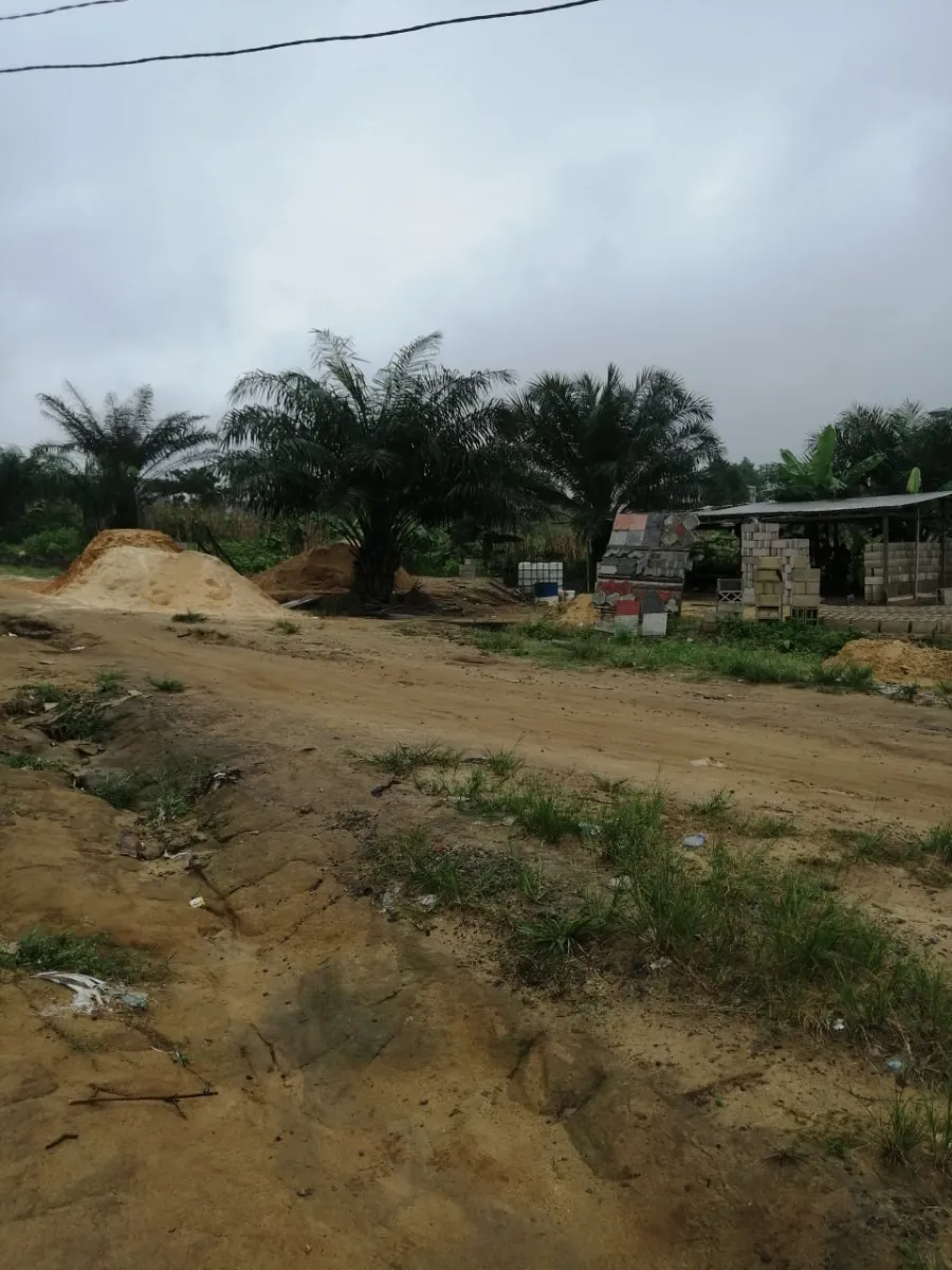 Terrain titré à vendre à japoma 2 hectares lea immobilier Cameroun