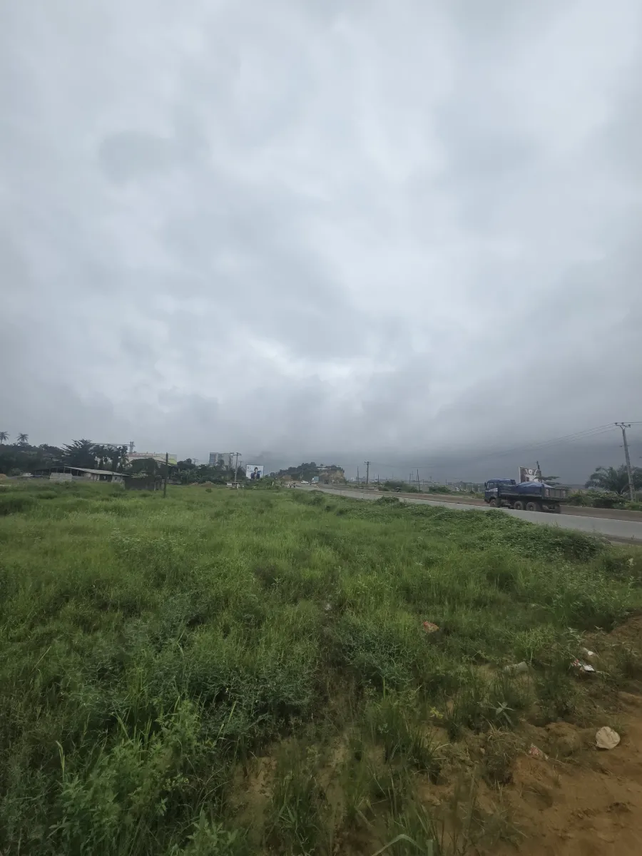 Terrain commercial titré à vendre   yassa avant le pont de la dibamba bordure du goudron en pleine boulevard de la route nationale numéro 3. Superficie 1 hectares 6000m2 — Léa immobilier au Cameroun