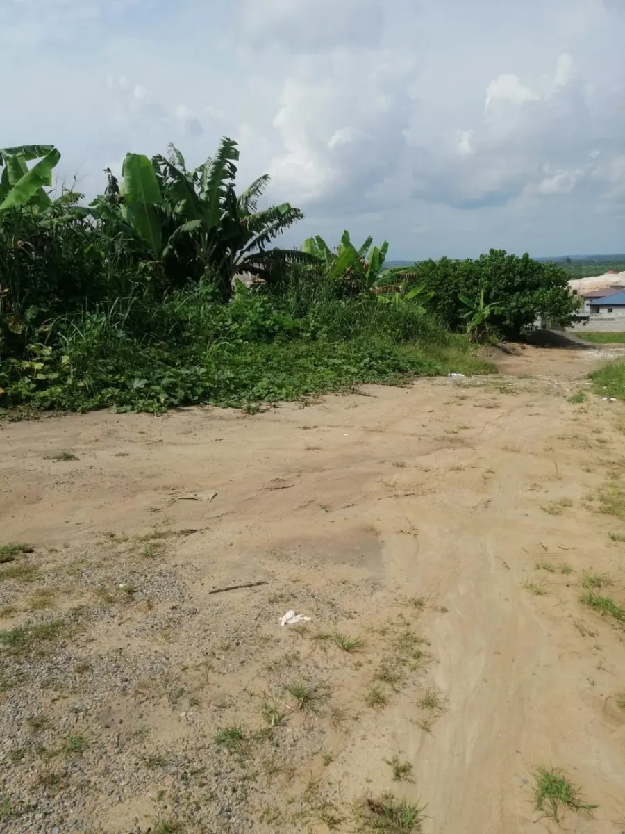 Terrain titré à vendre yassa bwang bakoko douala horizon 493m2 — Léa immobilier au Cameroun