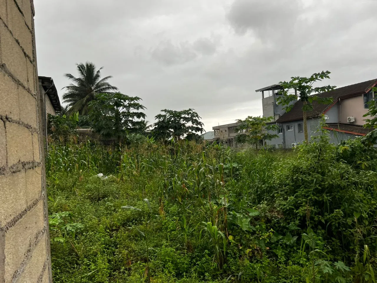 Terrain titré vendre à Yassa Neptune 200m2 — Léa immobilier au Cameroun