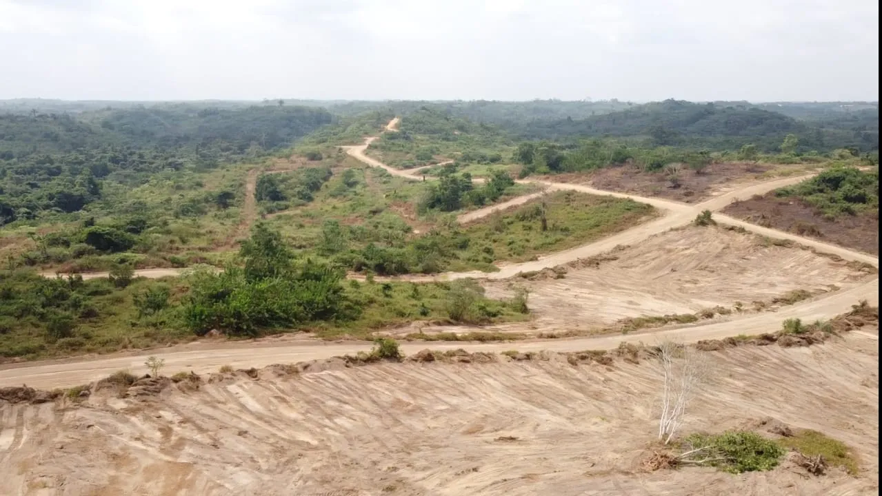 Nouveau lotissement de terrain titre a vendre a douala 5eme quartier ngombe — Léa immobilier au Cameroun