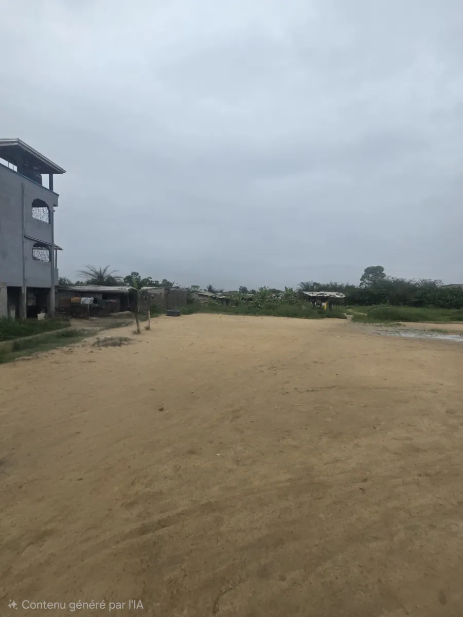 Terrain commercial titré à vendre   yassa avant le pont de la dibamba bordure du goudron en pleine boulevard de la route nationale numéro 3. Superficie 1 hectares 6000m2 — Léa immobilier au Cameroun