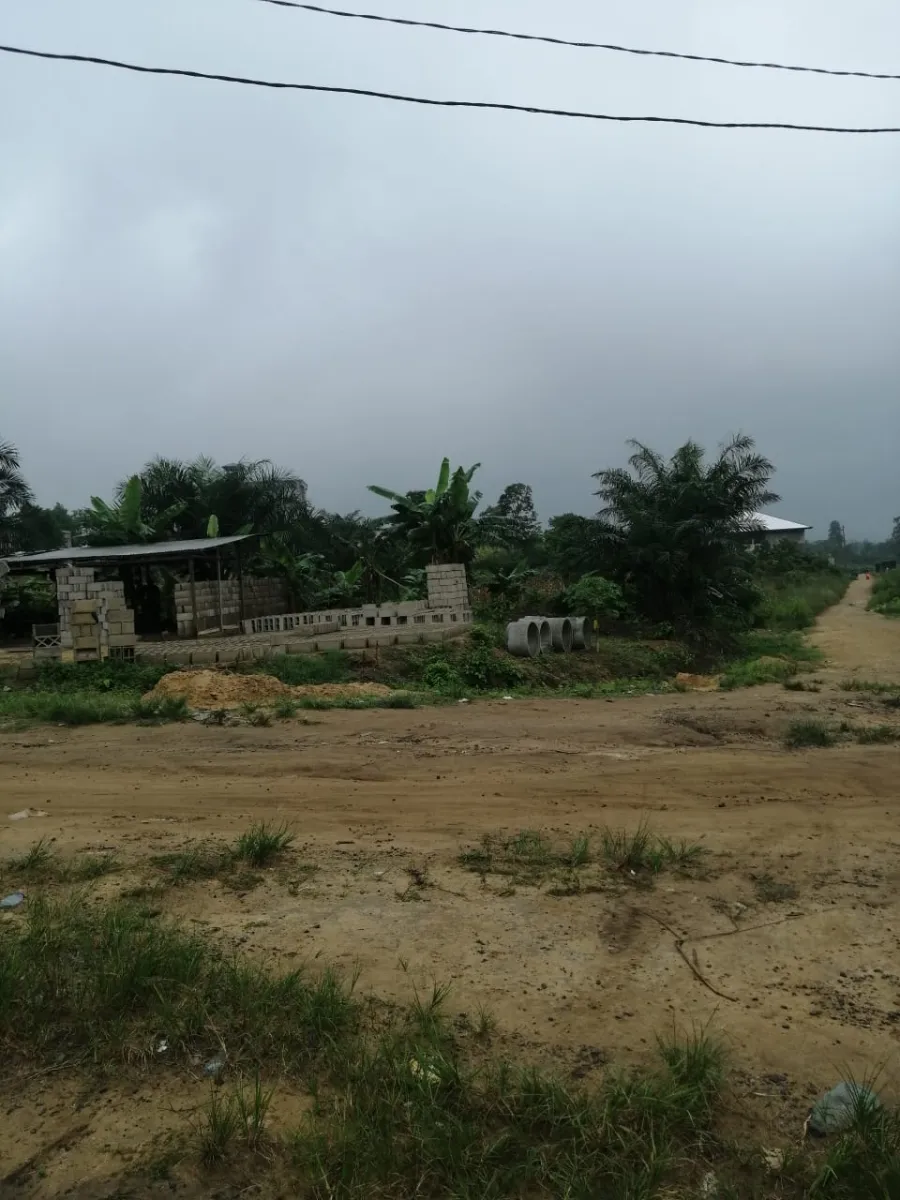 Terrain titré à vendre à japoma 2 hectares — Léa immobilier au Cameroun