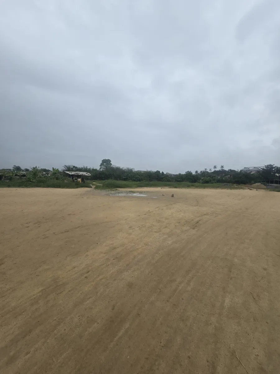 Terrain commercial titré à vendre   yassa avant le pont de la dibamba bordure du goudron en pleine boulevard de la route nationale numéro 3. Superficie 1 hectares 6000m2 — Léa immobilier au Cameroun
